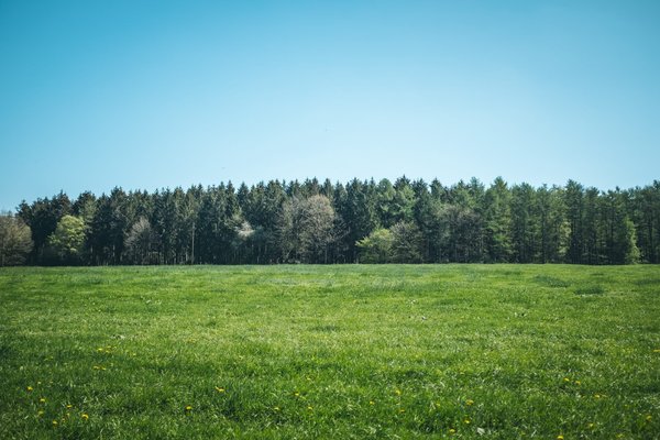 Comment trouver un terrain constructible dans l'immobilier à Thonon-les-Bains avec une agence immobilière ?
