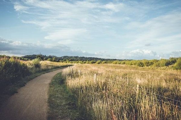 Comment trouver un terrain constructible en vente dans les Alpilles ?
