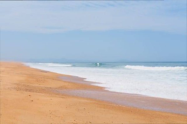 Découvrez les Secrets d'un Promoteur Immobilier Réussi dans les Landes